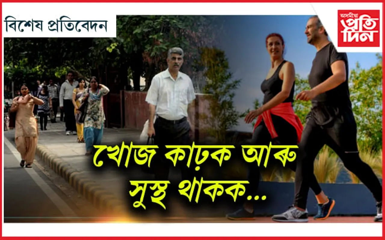 খোজকঢ়াৰ উপকাৰিতা জানক...